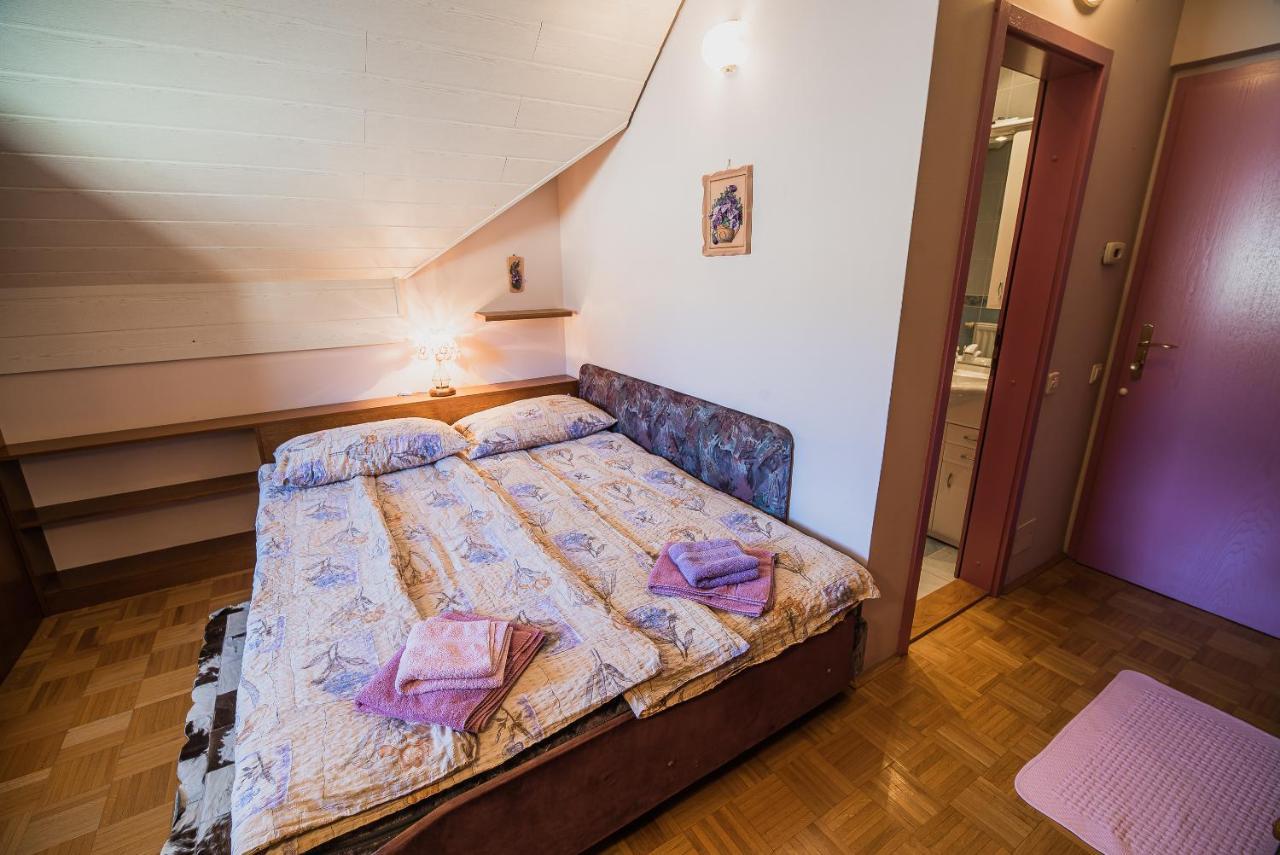 Homestay Kocka Zgornje Jezersko Zewnętrze zdjęcie
