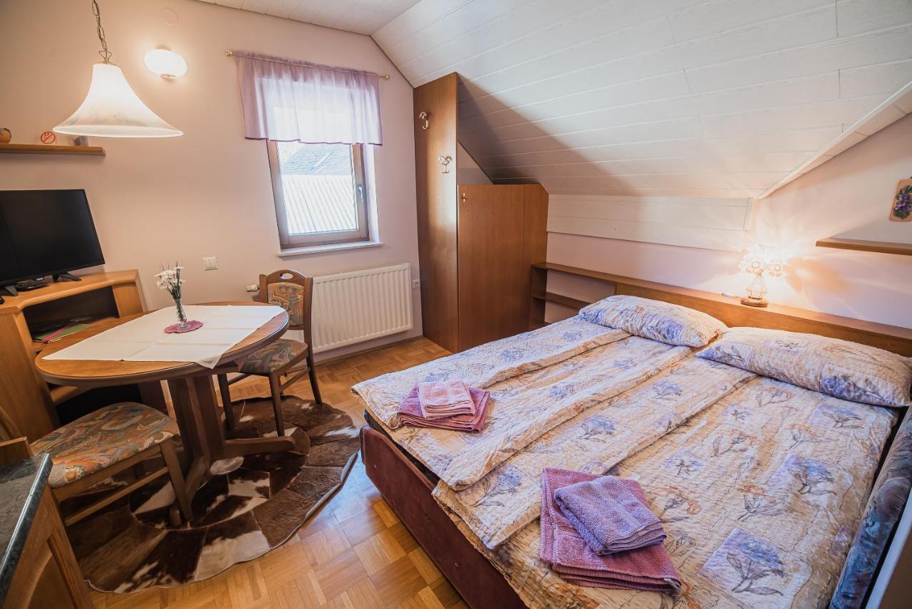 Homestay Kocka Zgornje Jezersko Zewnętrze zdjęcie