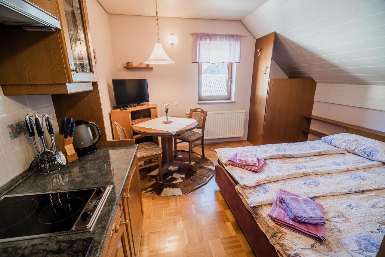 Homestay Kocka Zgornje Jezersko Zewnętrze zdjęcie