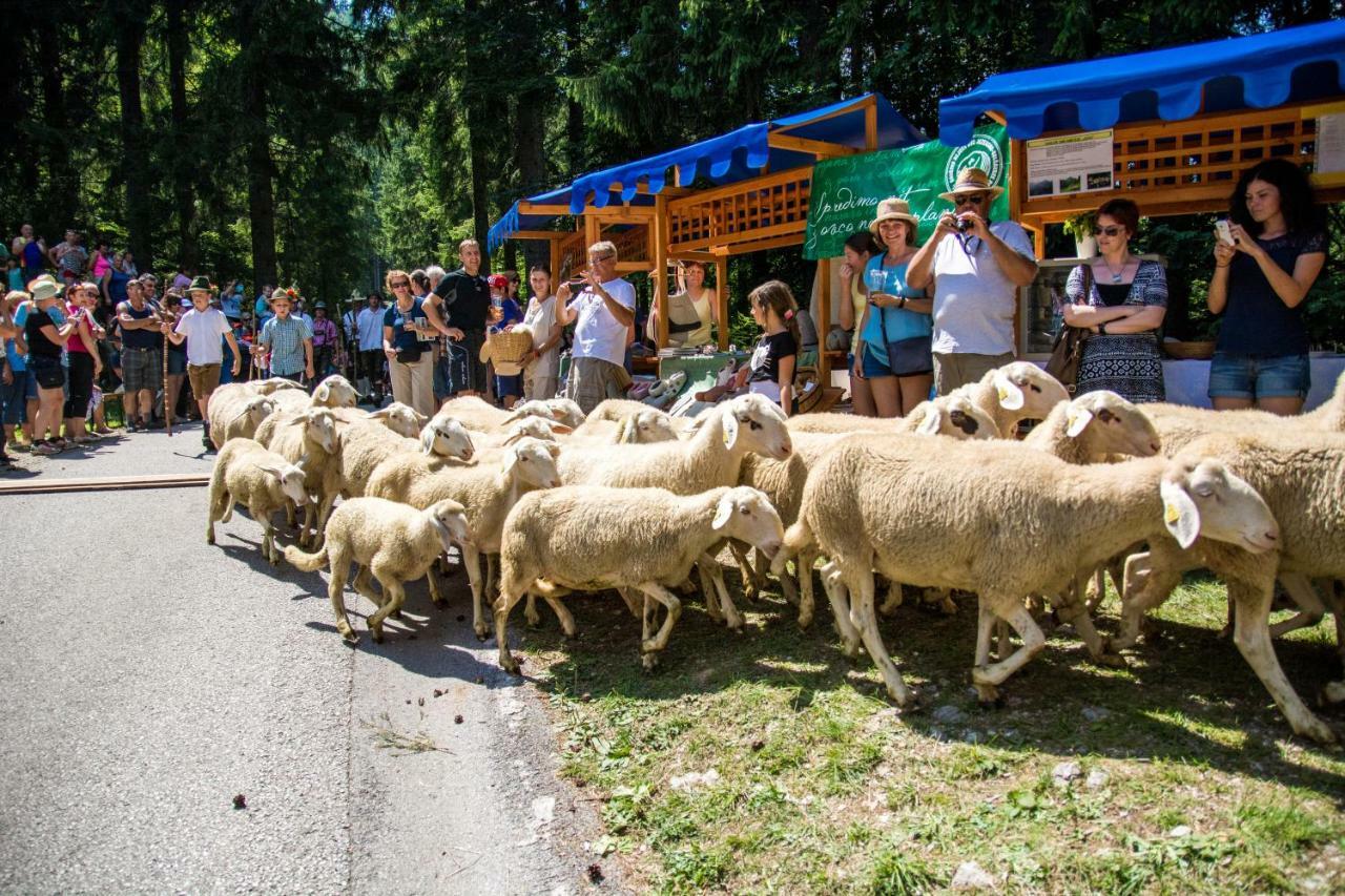 Homestay Kocka Zgornje Jezersko Zewnętrze zdjęcie