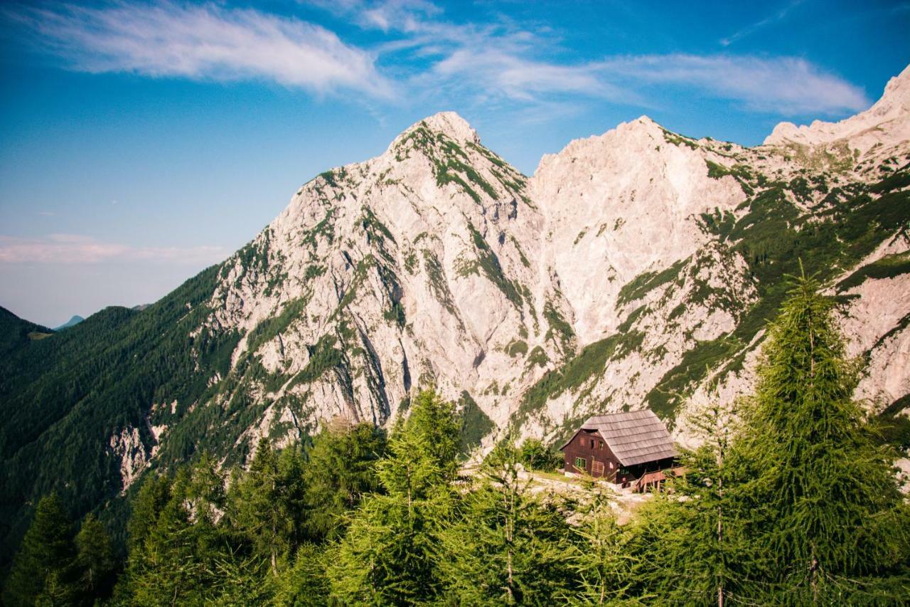 Homestay Kocka Zgornje Jezersko Zewnętrze zdjęcie